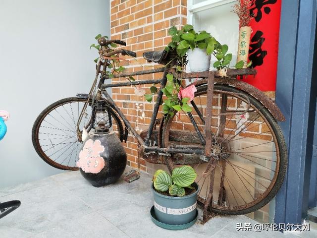 360宠物之家的微博精选手机版:男生一个人旅行如何克服孤单感？