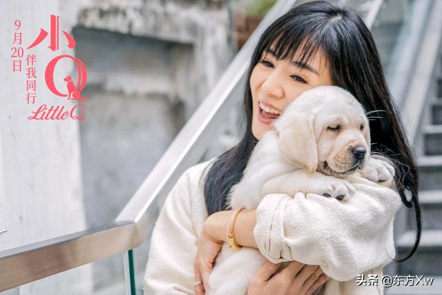 黛安莲恩:请问有哪些电影是以忠诚的狗为主题的，请帮助列列，谢谢？