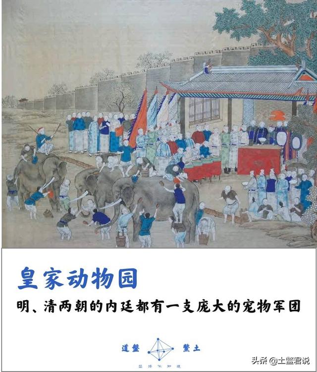 努洛伊曼皇宫:明武宗行事荒诞还建了豹房，是真的吗他想做什么