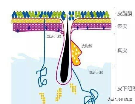 修容棒,修容棒还是修容粉哪个好？