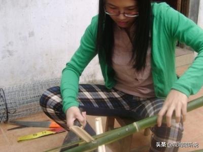 竹鸟笼批发:教大家如何选用竹子制作鸟笼？