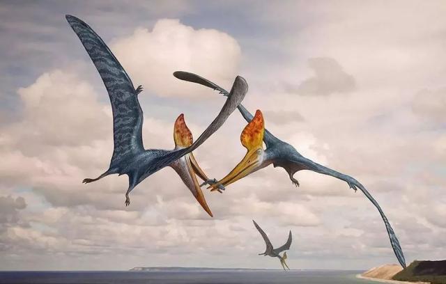 巨大的恐龙为什么会退化成小鸟?难道退化也是一种进化?