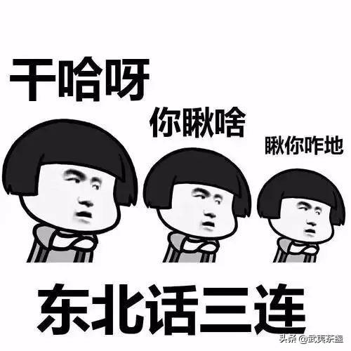都说东北话有杀伤力,具体是哪句有代表力？