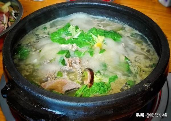一条反刍的狗内容:一条反刍的狗全文 受各大网红追捧尝试的“牛瘪汤”究竟是一种怎样的黑暗料理？
