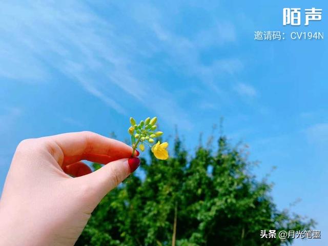 逗人开心微信<a href=https://maguai.com/list/256-0-0.html target=_blank class=infotextkey>朋友圈</a>文章:怎么做一个<a href=https://maguai.com/list/39-0-0.html target=_blank class=infotextkey>搞笑</a>的“逗逼”？(<a href=https://maguai.com/list/39-0-0.html target=_blank class=infotextkey>搞笑</a>头像女生逗比)