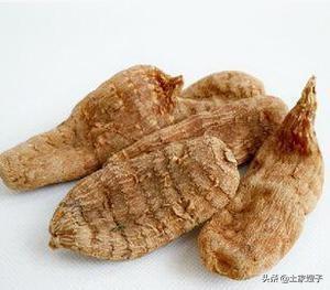 2019年农村人种植哪些中药材前景好？