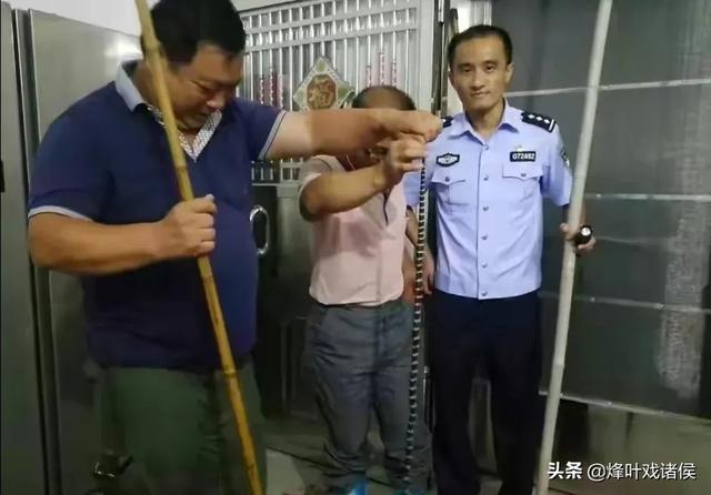 2021贵州热点事件，贵州一工地宿舍惊现1.5米银环蛇，毒性有多猛被咬了该怎么办