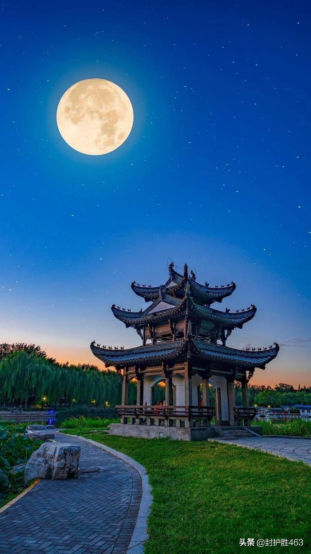 “但愿人长久,千里共婵娟”你是怎么理解这句话的？