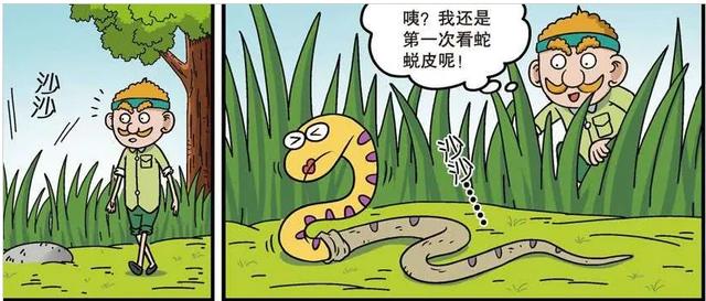 钩盲蛇视频:蛇能活多少年？是不是脱了皮又是一个全新的生命？