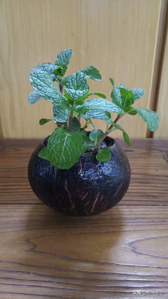 废旧物品应该怎么利用？