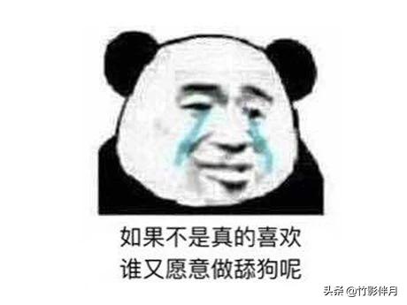 舔狗什么意思啊:什么时候开始，深情被叫做舔狗