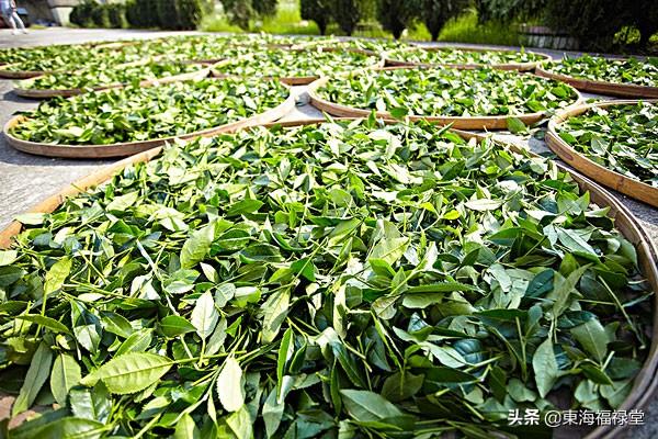 全国品茶信息:不同地区的中国人喝茶有什么习惯