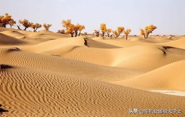 沙漠的沙为什么不能盖房子，为什么不能用沙漠中的沙子建造房屋