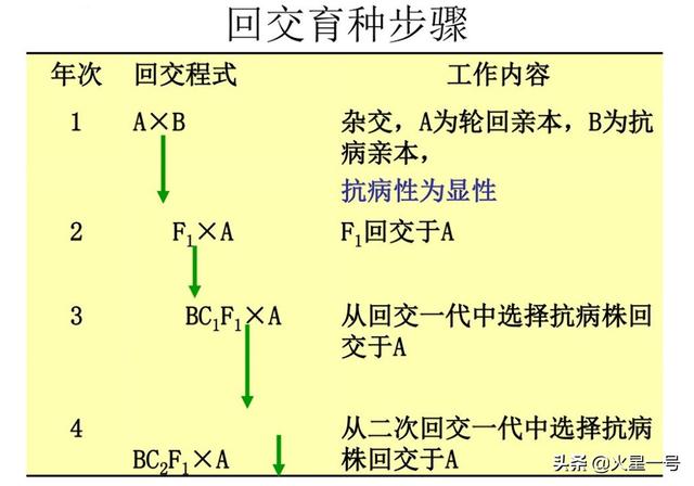 工商银行近亲繁殖:动物回交育种会有伦理问题吗？