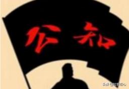 国内的公知究竟是一种怎样的存在？