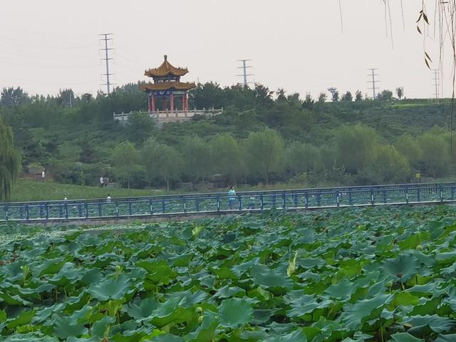 阿富汗和哪个国家打仗现在:阿富汗现在和哪个国家在打仗 阿富汗30万正规军打不过塔利班六万人，到底为什么？