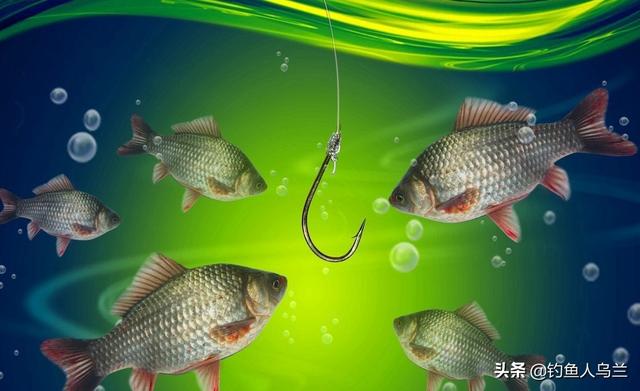 印度小竹节草漂着养:满地都是水花生，用什么方法防治？