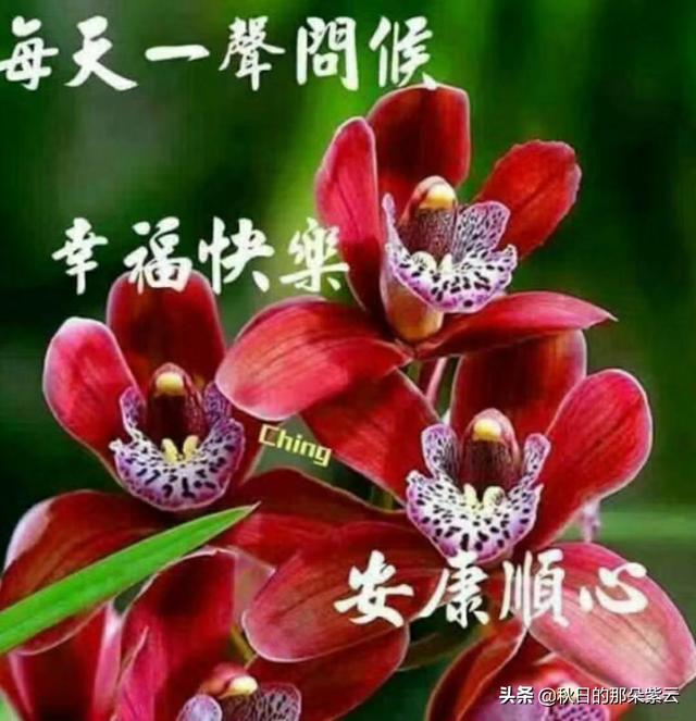 黄绮珊个人资料:你觉得一个人的能力和机遇哪个更重要？
