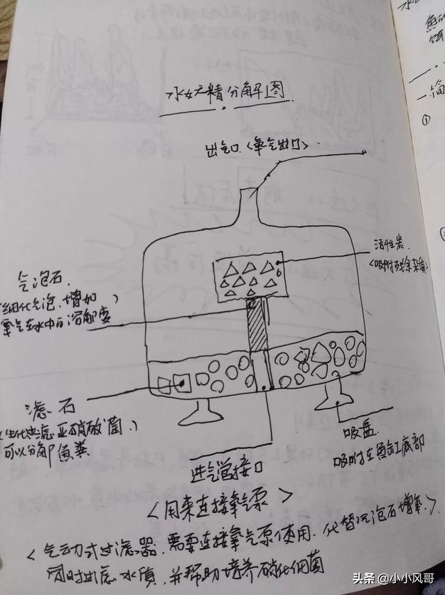 信友水妖精怎么用:鱼缸养水，水妖精的使用和硝化系统的养成问题？