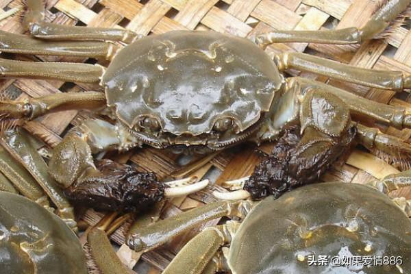 大闸蟹为什么叫湖蟹，大闸蟹为什么叫做大闸蟹“闸”字如何而来