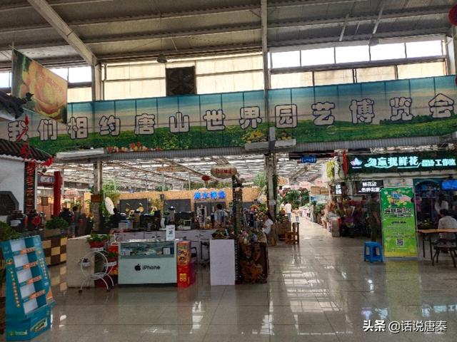 海洋生物你知道多少？
