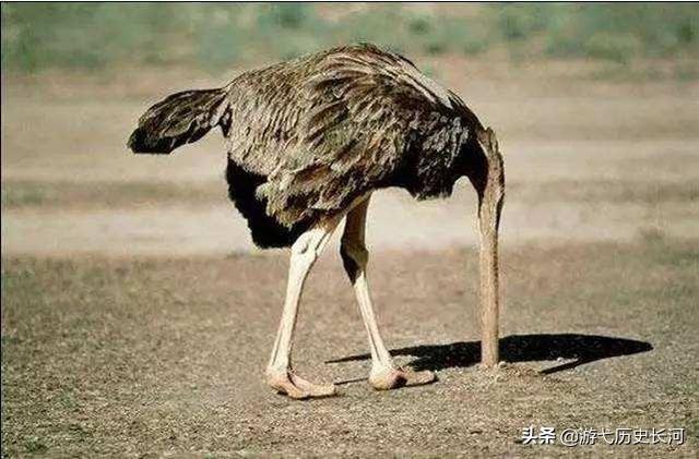 宋真宗:宋真宗的封禅有多么拉胯？