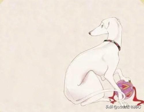 混血狼:养狼的人一般很少被咬，而养混血狼的基本都被咬过，为什么？