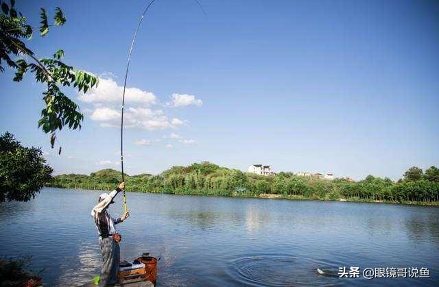 溜鱼现象:溜鱼的响声是哪里发出来的