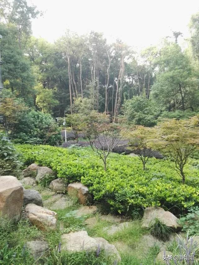 武大蝶楼灵异事件:武汉大学有哪些不为人知的有趣的地方？