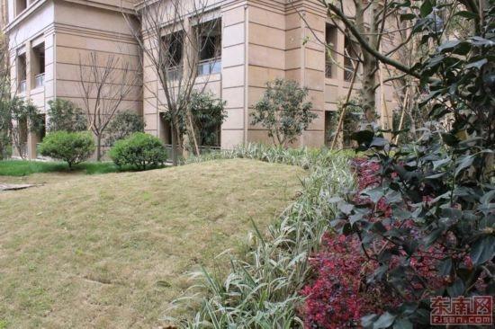 买房不买第一排,买房选边户好还是选中间户好？