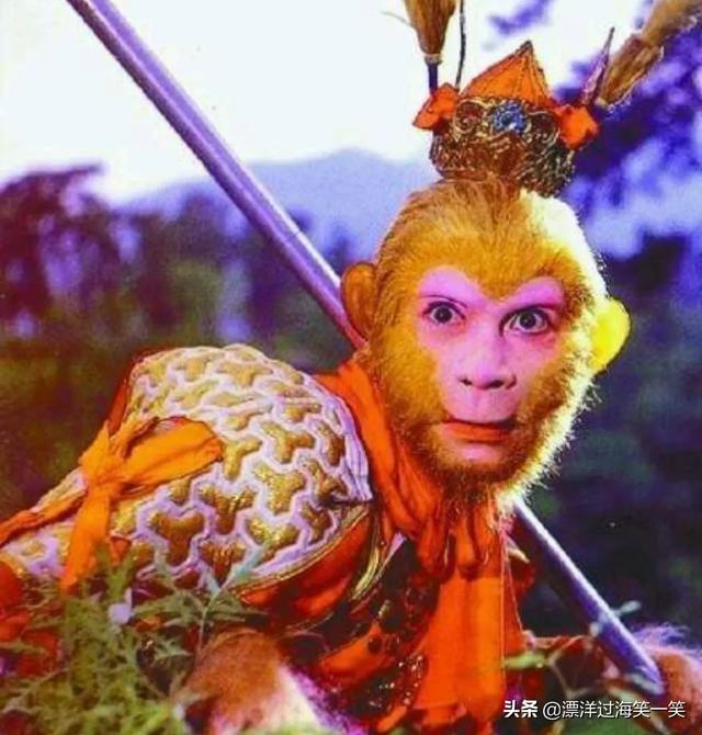 泰迪熊在线观看:你看到哪些搞笑的电影，求推荐？ 泰迪熊在线观看2