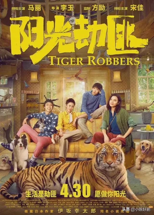 狗嬲的猪猪侠:炸了炸了！什么情况？五一档有14部电影上映？