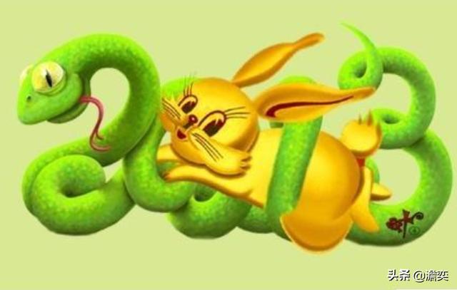 农村俗语蛇缠兔辈辈富是真的吗蛇与兔结合真的能富裕吗农村俗语和老话