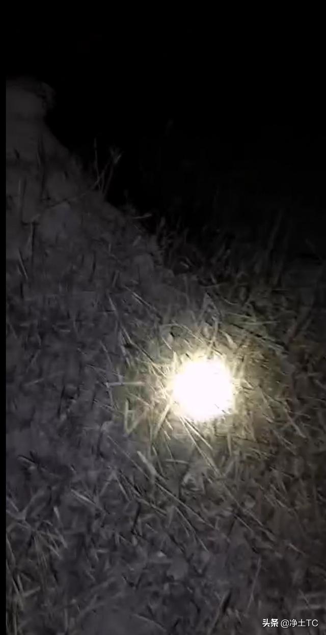 在农村夜晚,你遇到过哪些可怕的事情？