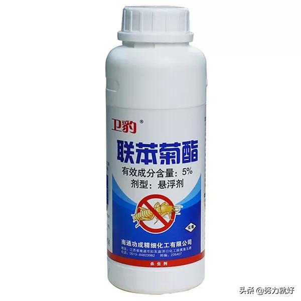 玉米地蚜虫怎么防治:联苯菊酯可以防治玉米上的蚜虫钻心虫吗？
