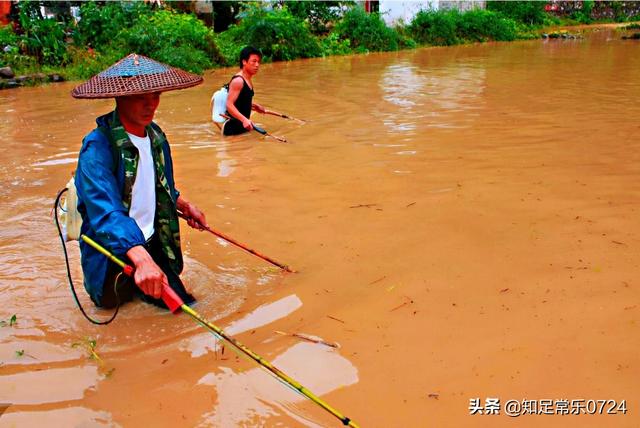 电鲶是怎样电天敌的:如果遇到电鱼，人该怎么办？