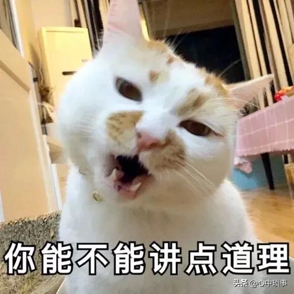 撩妹技巧对话开头,用哪些开场白,追她妥妥的？