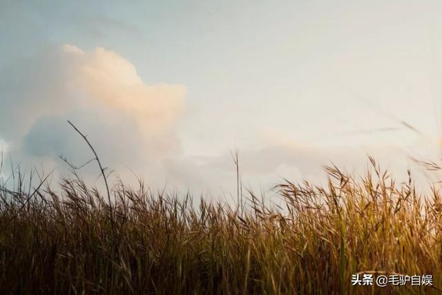我跌跌撞撞奔向你歌名:能否把你最近常听的歌推荐给我？