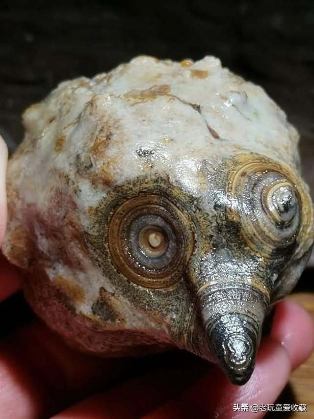 有玉的石头有啥特点,值的收藏的石头有哪些特点？