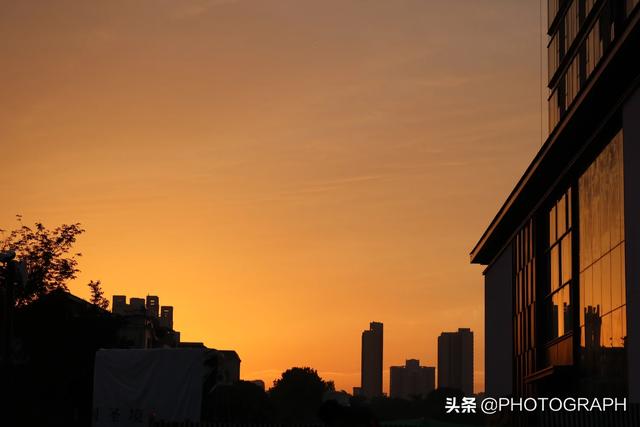 命中注定我爱你纪宝贝是什么狗:命中注定我爱你男女主是什么样子的存在？
