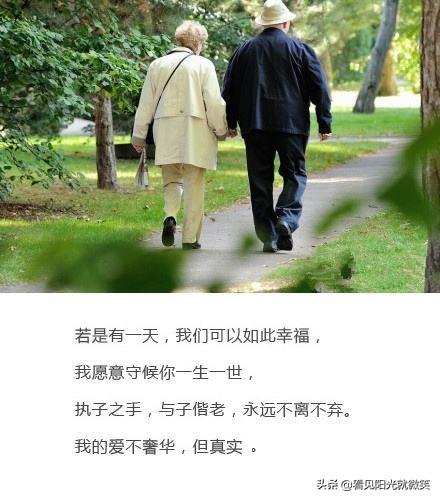 宠物婚配策划书:如何在婚姻中，保持“谈恋爱”的状态？