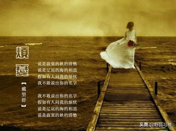 打动你的情诗（国内外）有哪些？