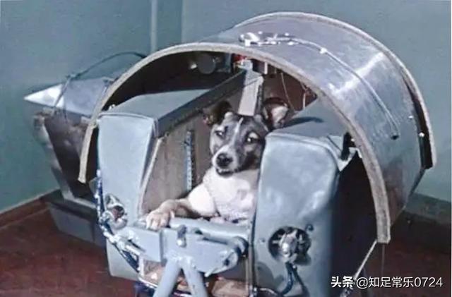 加加林死亡之谜:如果加加林第一次上太空死了，那会不会人类以后永远不上太空？