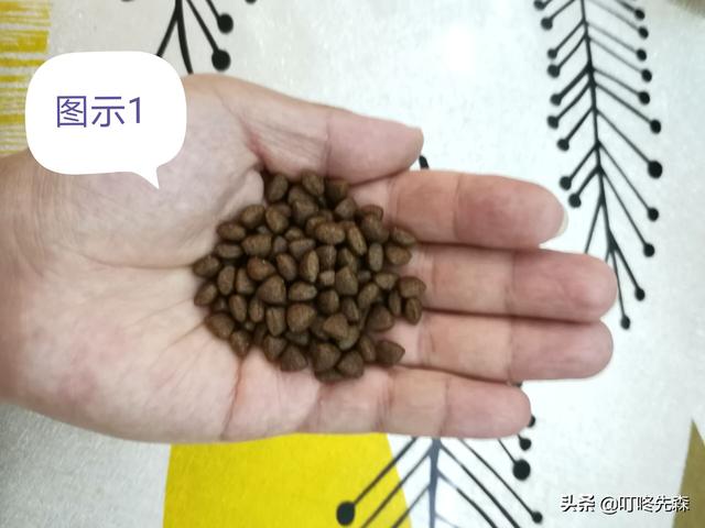 两个多月的拉布拉多好养吗:想看看你们的狗子，顺便问问两个月小狗睡多久正常呢？