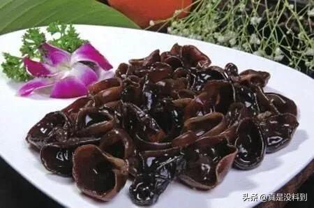 蛋白低吃什么补得快？