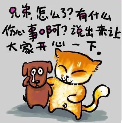 甜蜜猫猫漫画在线:有哪些笑死人的歪理句子，说来听听？ 猫猫漫画在线观看