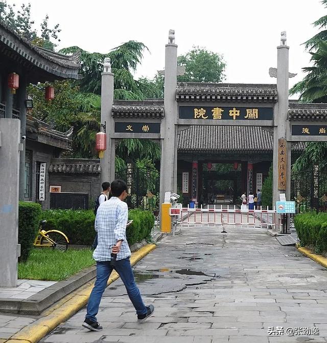 男子谋生杀猫卖钱细节曝光:只要是不违法，什么方法赚钱最快？