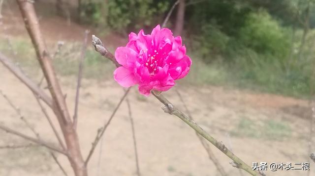 如何高情商幽默夸奖老婆漂亮好看？
