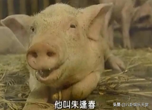 吕布与貂蝉演员表:《春光灿烂猪八戒》的演员现在怎么样了？