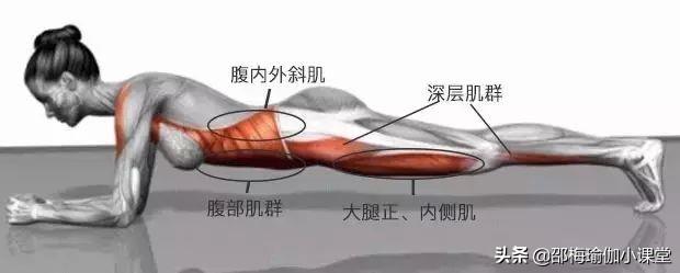 每天两分钟平板支撑一个月后可以瘦肚子吗？